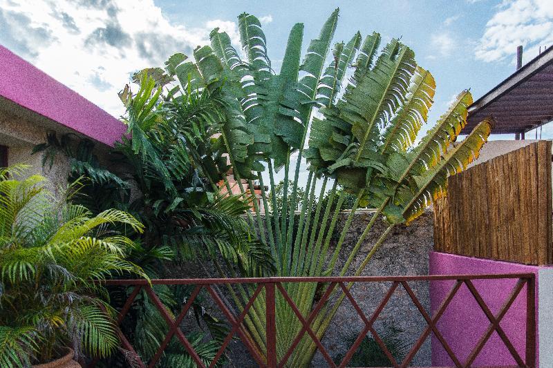 Art 57 Hotel - Adults Only Merida Ngoại thất bức ảnh